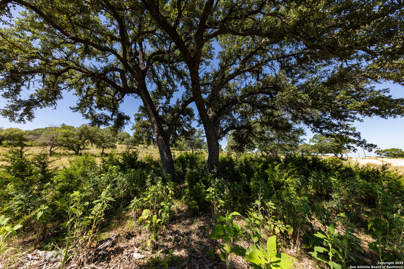 Lot 43 Blackbuck Trail Pipe Creek TX 78063