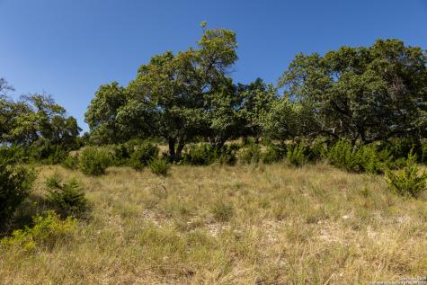 Lot 43 Blackbuck Trail Pipe Creek TX 78063