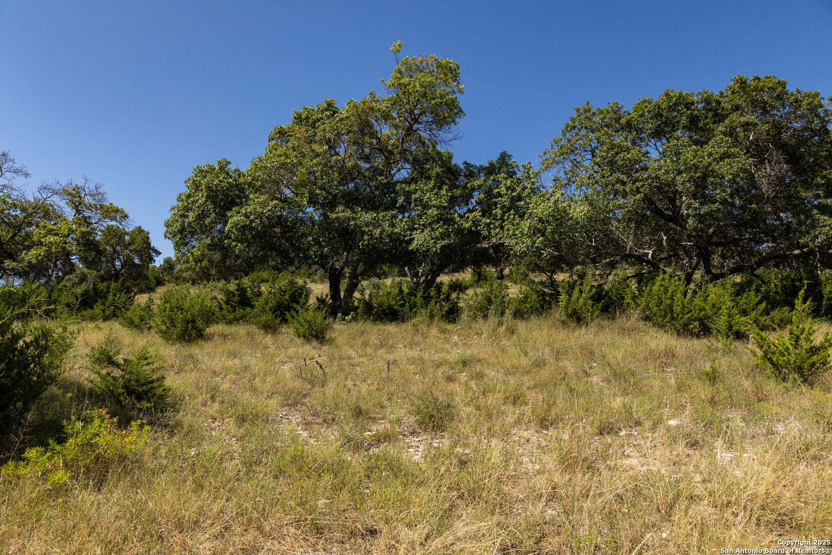 Lot 43 Blackbuck Trail Pipe Creek TX 78063