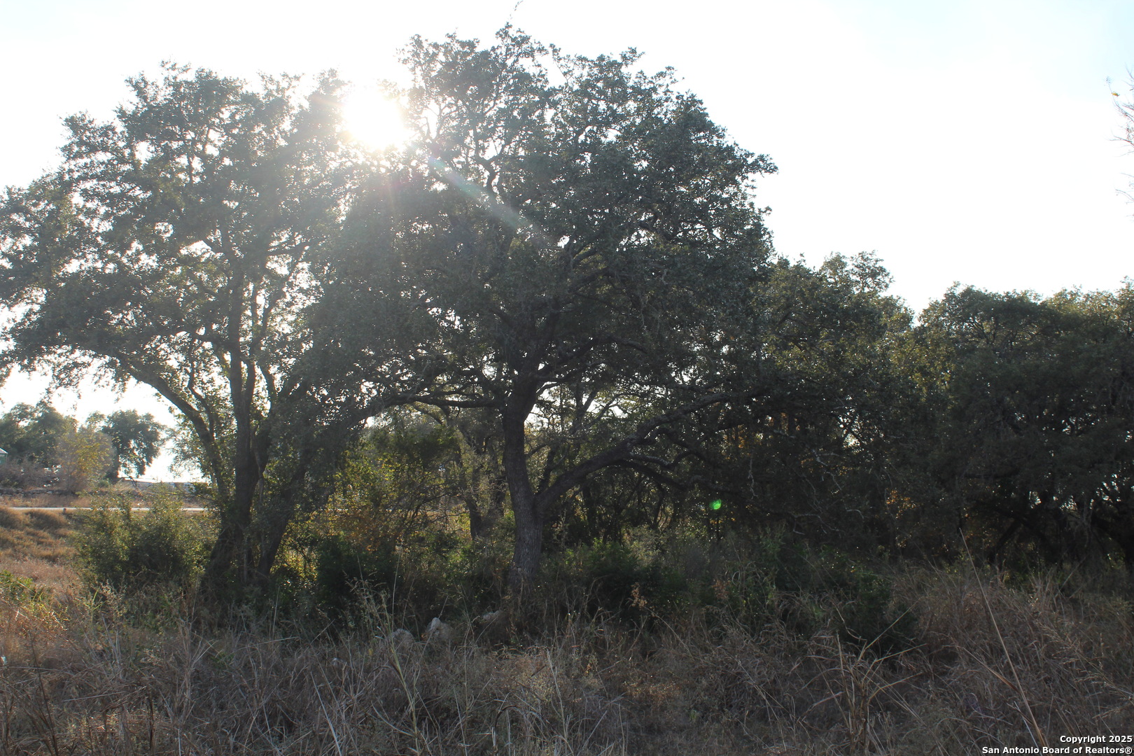 576 Private Road 3702 San Antonio TX 78253