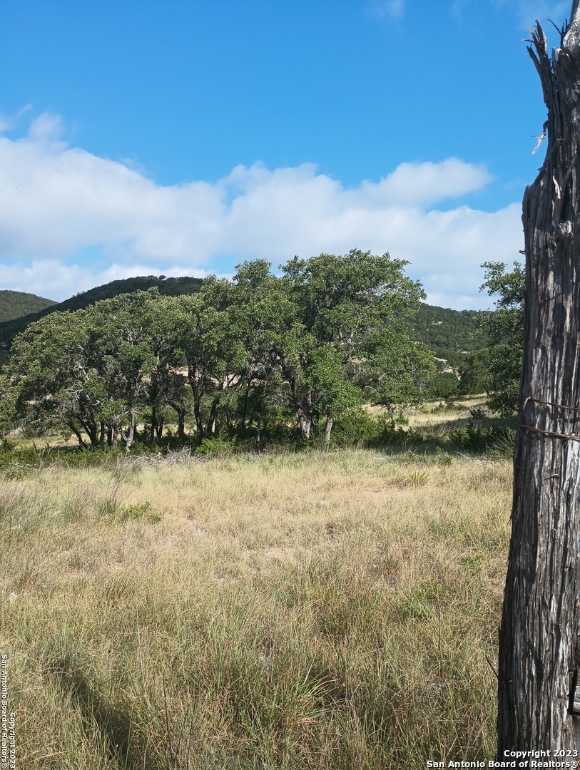 761 W Bear Springs Road Pipe Creek TX 78063