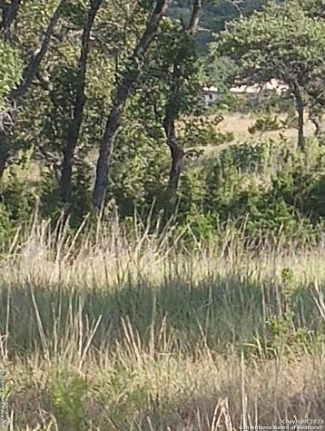 761 W Bear Springs Road Pipe Creek TX 78063