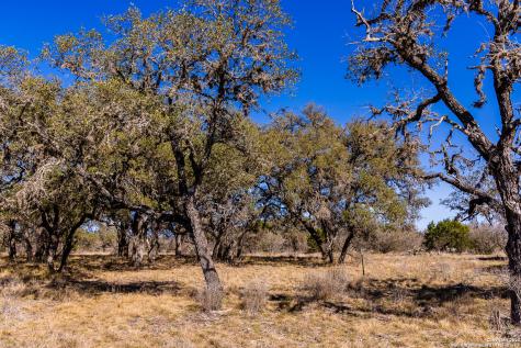 2300 Little Dry Frio Road Leakey TX 78873
