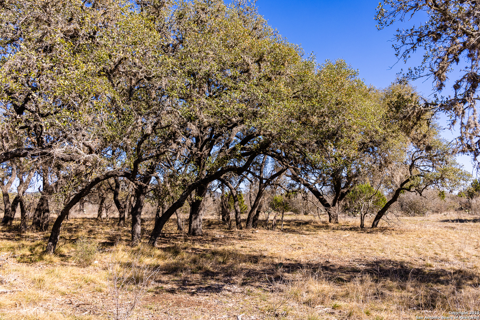 2300 Little Dry Frio Road Leakey TX 78873