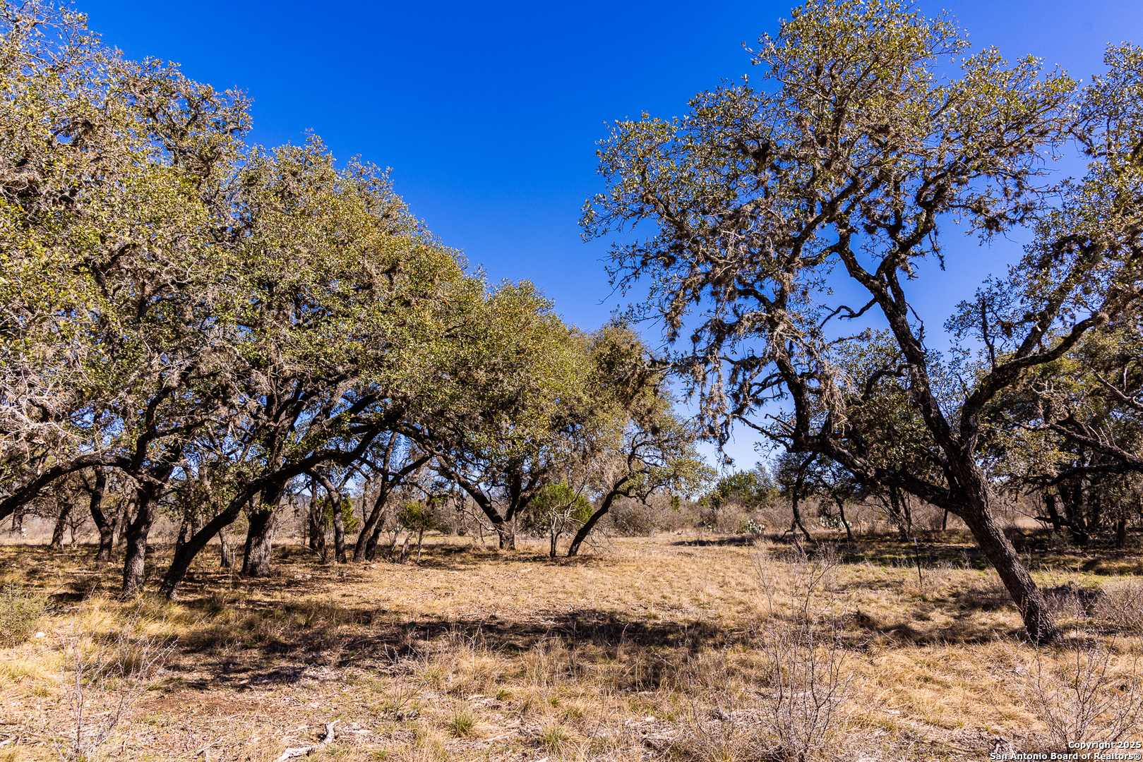 2300 Little Dry Frio Road Leakey TX 78873