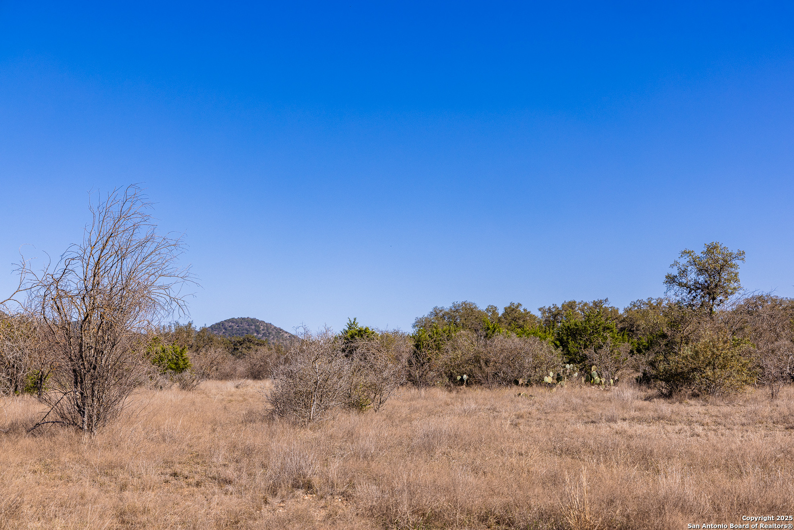 2300 Little Dry Frio Road Leakey TX 78873