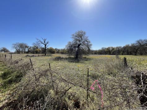 8765 Us Highway 87 W La Vernia TX 78121