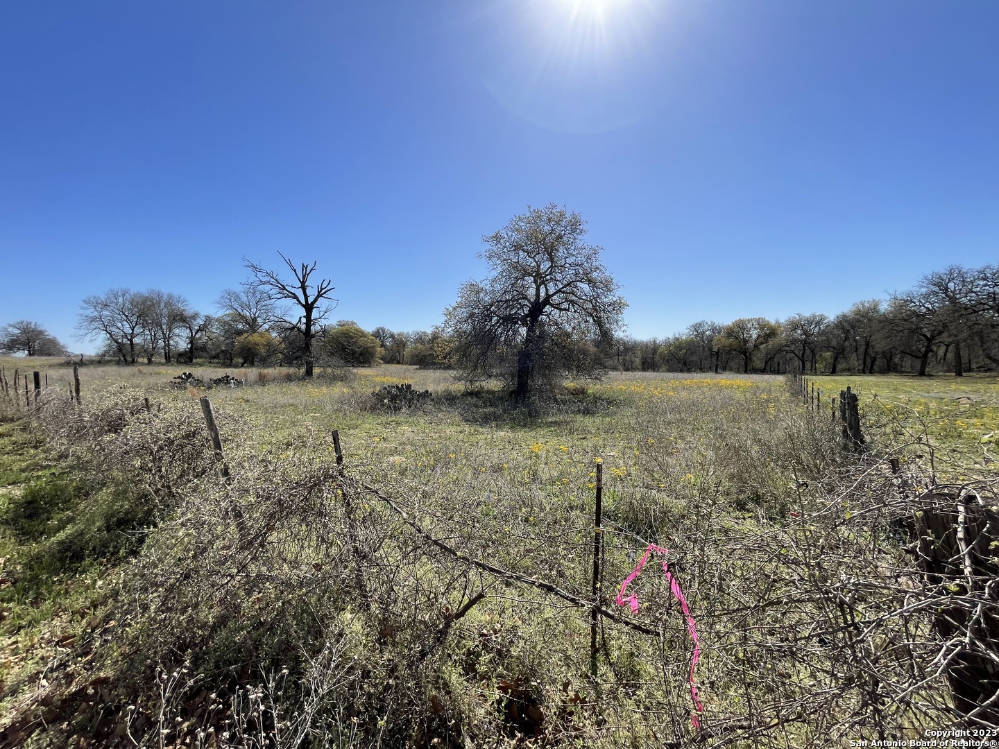 8765 Us Highway 87 W La Vernia TX 78121
