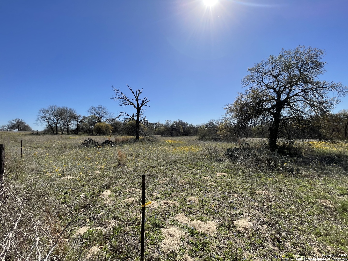 8765 Us Highway 87 W La Vernia TX 78121