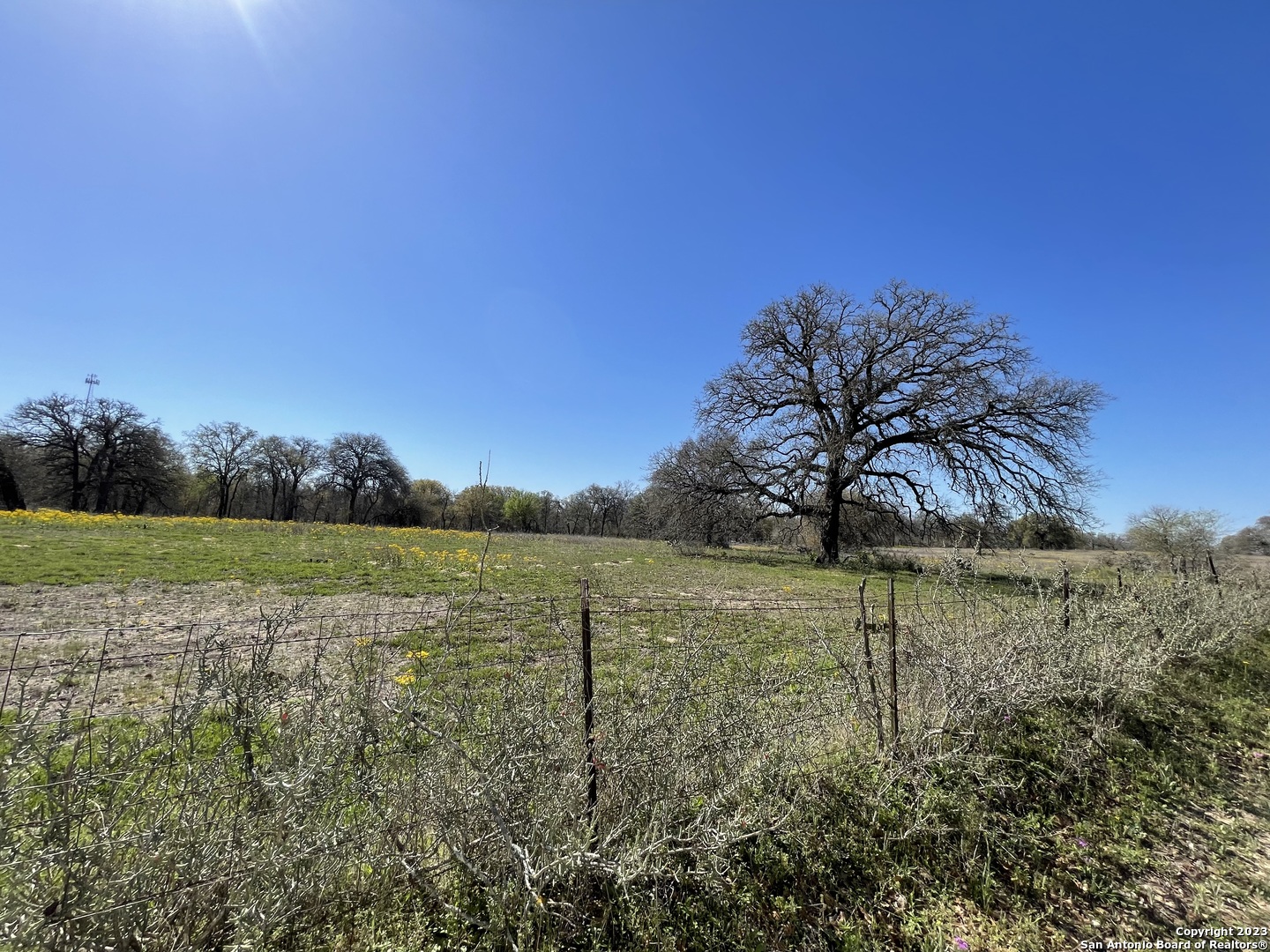 8765 Us Highway 87 W La Vernia TX 78121