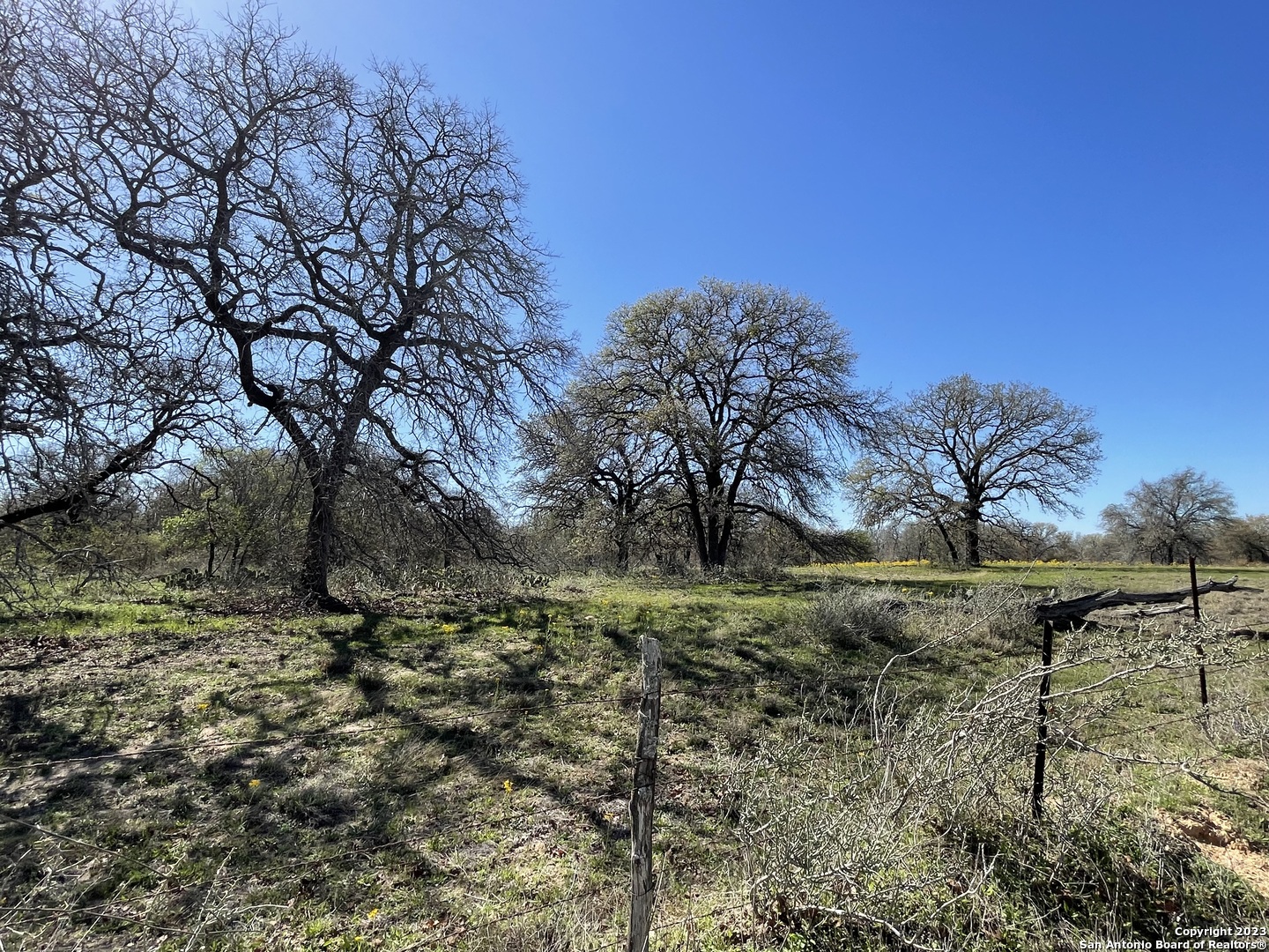 8765 Us Highway 87 W La Vernia TX 78121