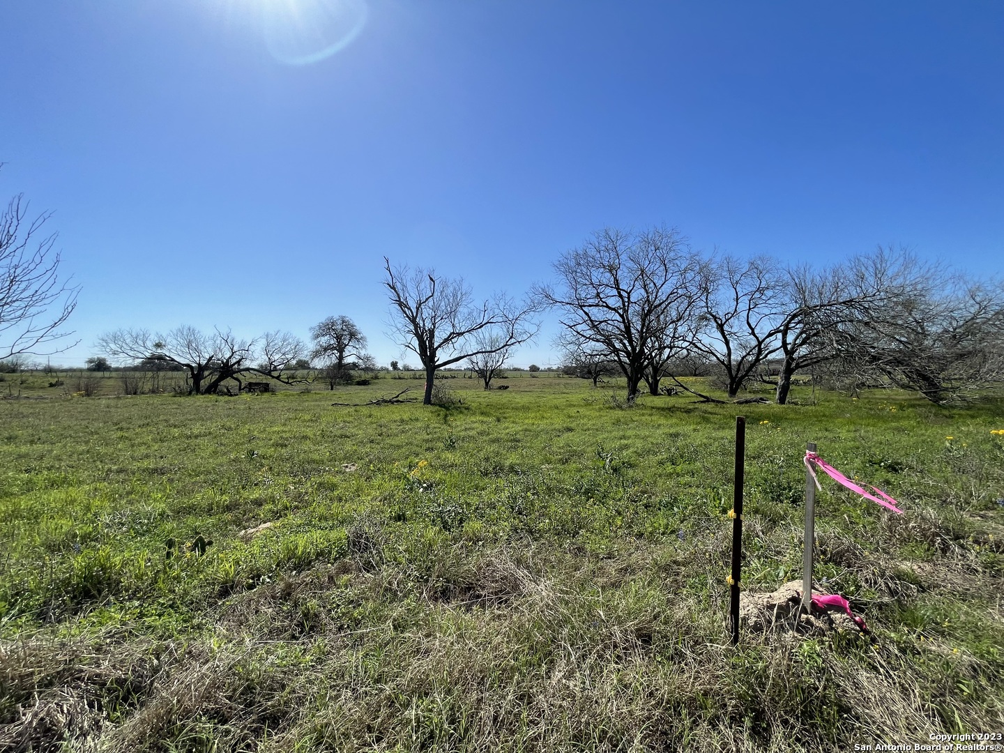 8765 Us Highway 87 W La Vernia TX 78121