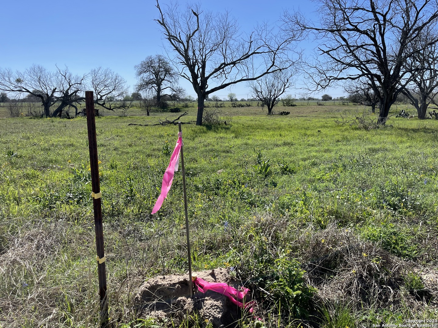 8765 Us Highway 87 W La Vernia TX 78121