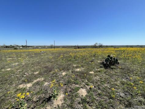 8765 Us Highway 87 W La Vernia TX 78121