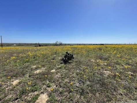 8765 Us Highway 87 W La Vernia TX 78121