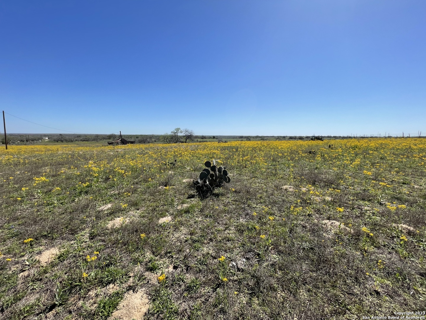 8765 Us Highway 87 W La Vernia TX 78121