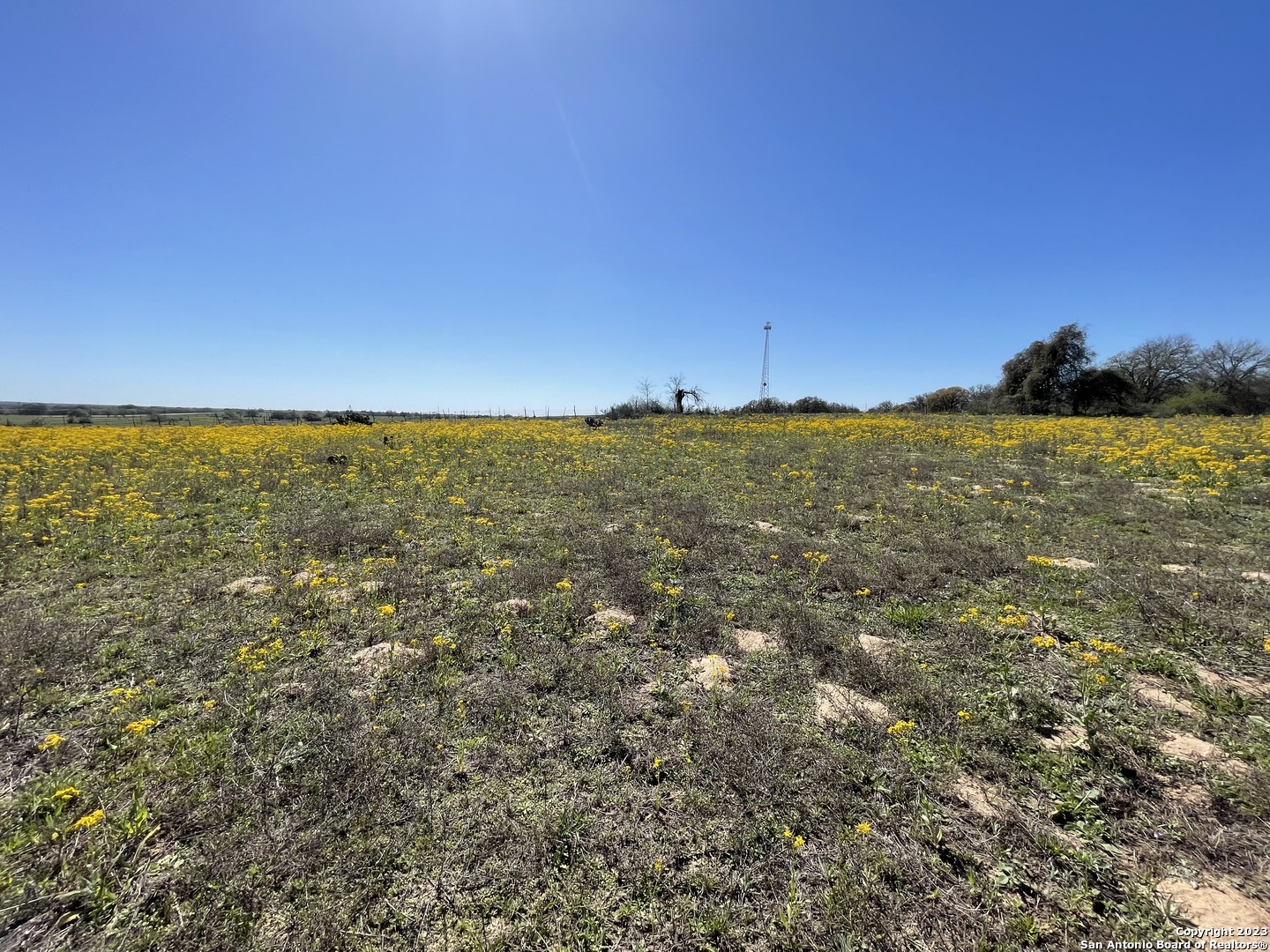 8765 Us Highway 87 W La Vernia TX 78121