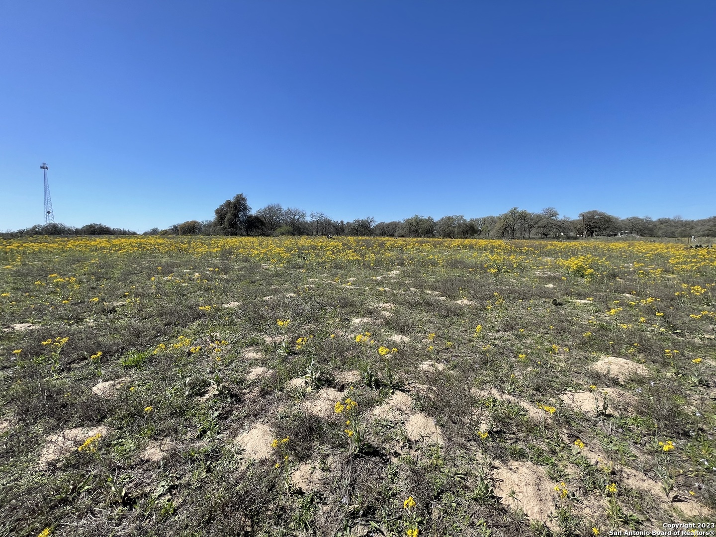 8765 Us Highway 87 W La Vernia TX 78121