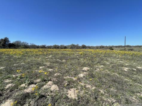 8765 Us Highway 87 W La Vernia TX 78121