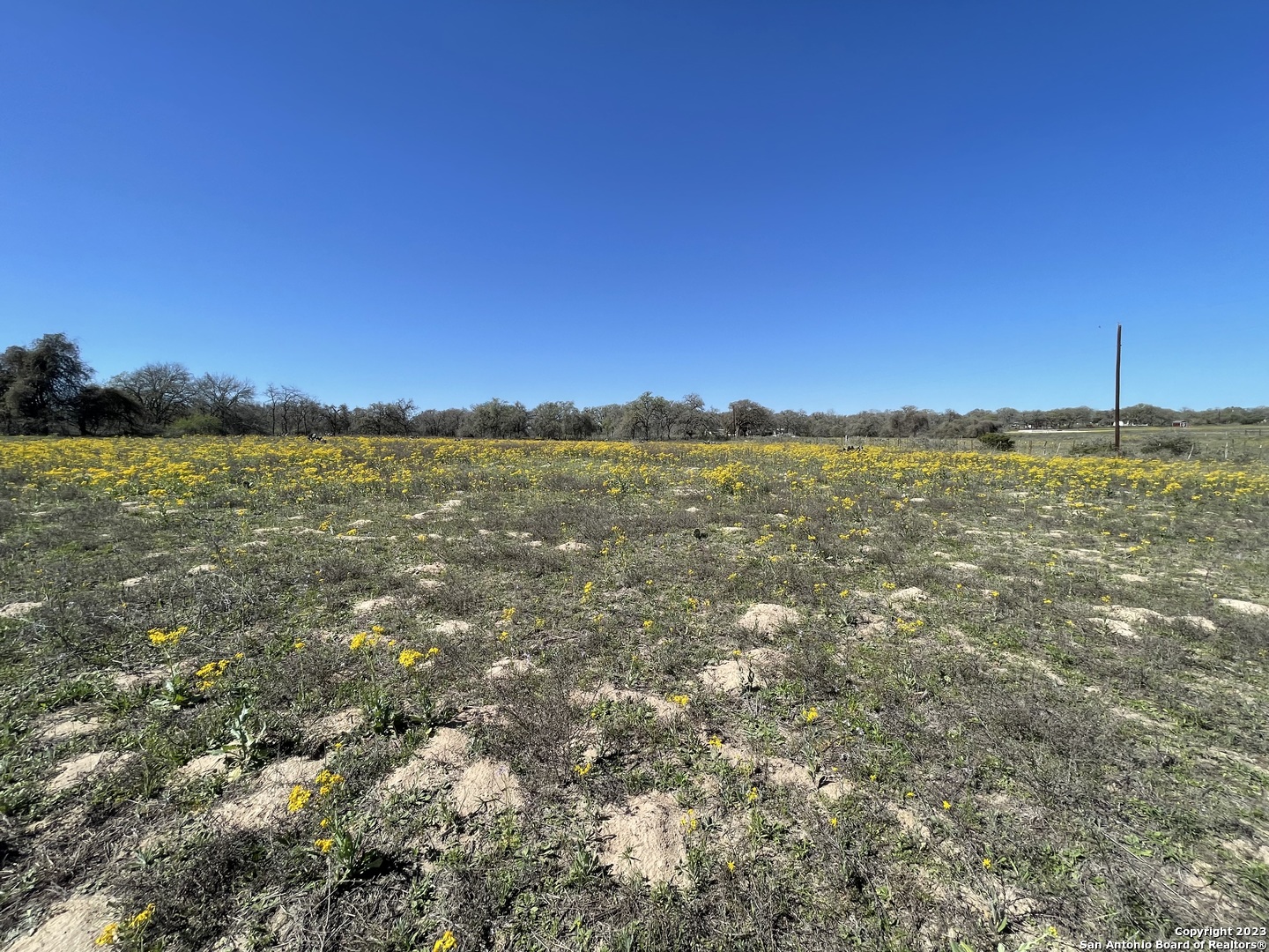 8765 Us Highway 87 W La Vernia TX 78121