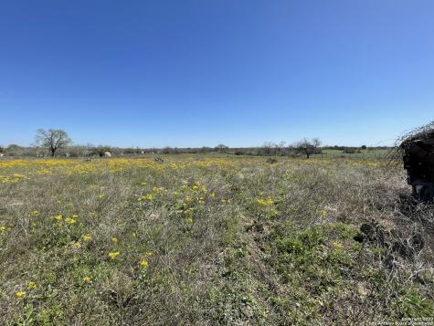 8765 Us Highway 87 W La Vernia TX 78121
