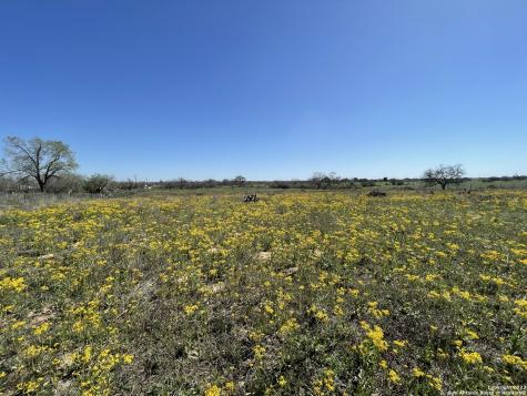 8765 Us Highway 87 W La Vernia TX 78121