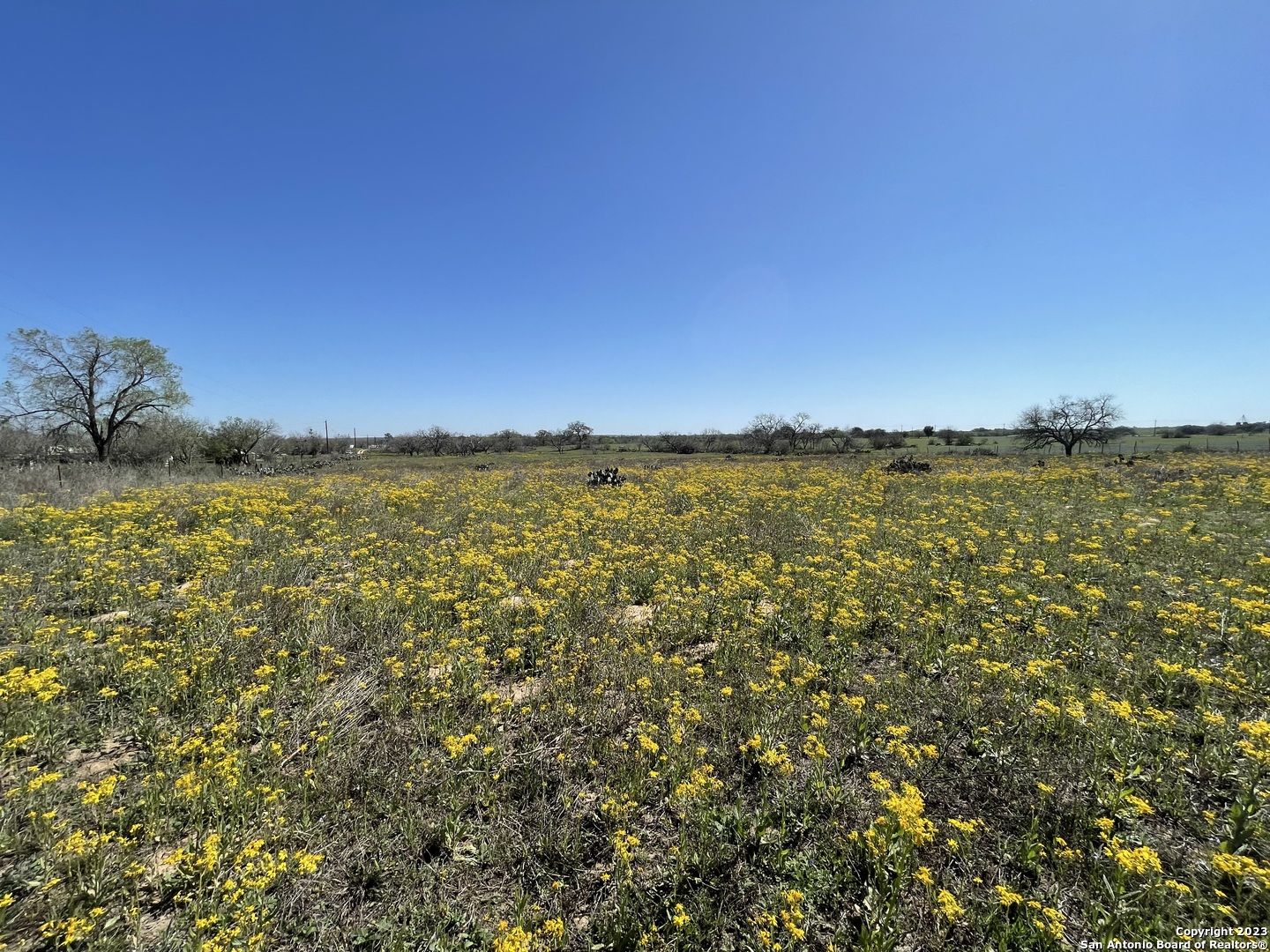 8765 Us Highway 87 W La Vernia TX 78121
