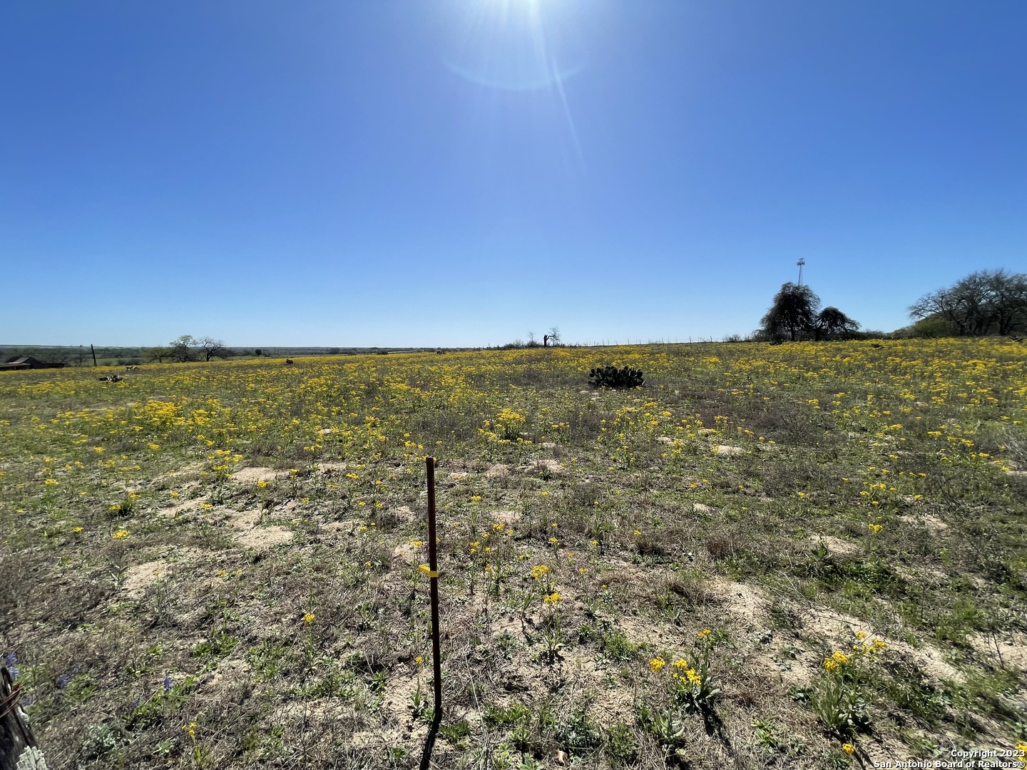 8765 Us Highway 87 W La Vernia TX 78121