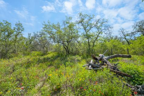 230 Private Road D65 Poteet TX 78065