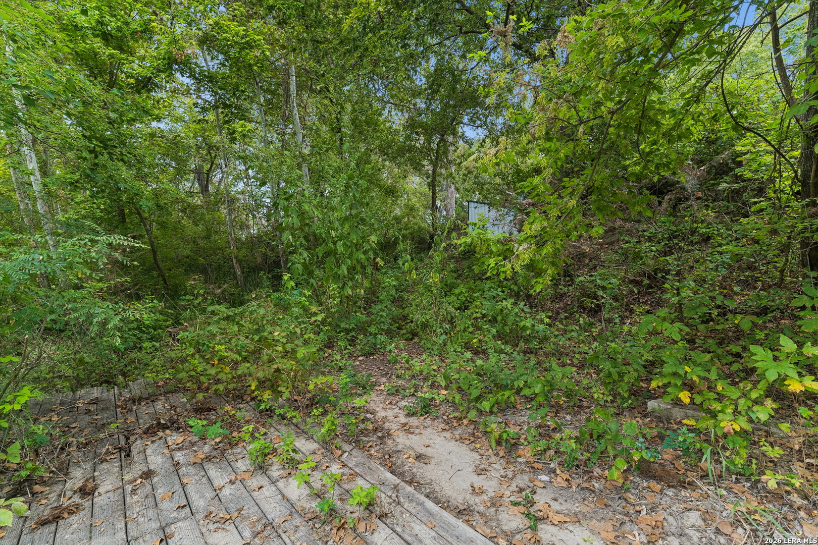 8 River Oak Drive Seguin TX 78155
