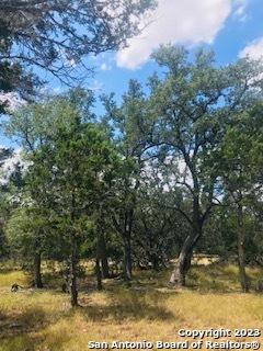 26 Mustang Crossing Pipe Creek TX 78063