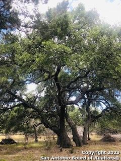 26 Mustang Crossing Pipe Creek TX 78063