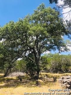 26 Mustang Crossing Pipe Creek TX 78063