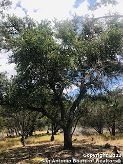 26 Mustang Crossing Pipe Creek TX 78063