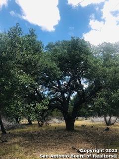 26 Mustang Crossing Pipe Creek TX 78063