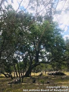 26 Mustang Crossing Pipe Creek TX 78063
