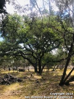 26 Mustang Crossing Pipe Creek TX 78063