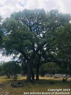 26 Mustang Crossing Pipe Creek TX 78063
