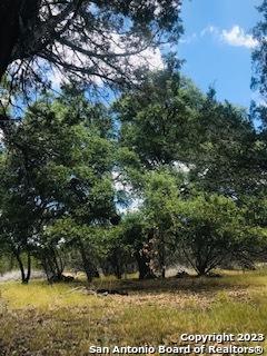 26 Mustang Crossing Pipe Creek TX 78063