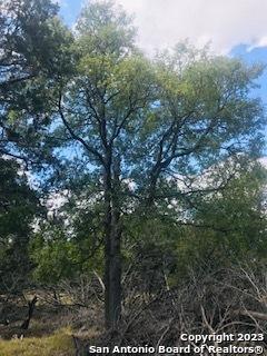26 Mustang Crossing Pipe Creek TX 78063