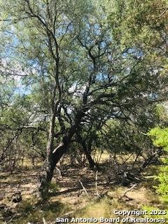 26 Mustang Crossing Pipe Creek TX 78063