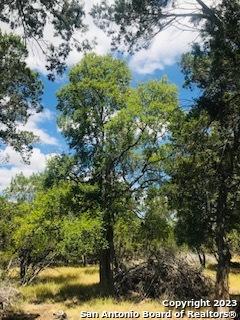 26 Mustang Crossing Pipe Creek TX 78063