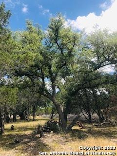 26 Mustang Crossing Pipe Creek TX 78063