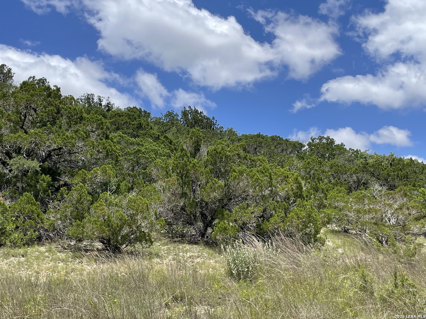 Lot 44 Walker Ridge Bandera TX 78003