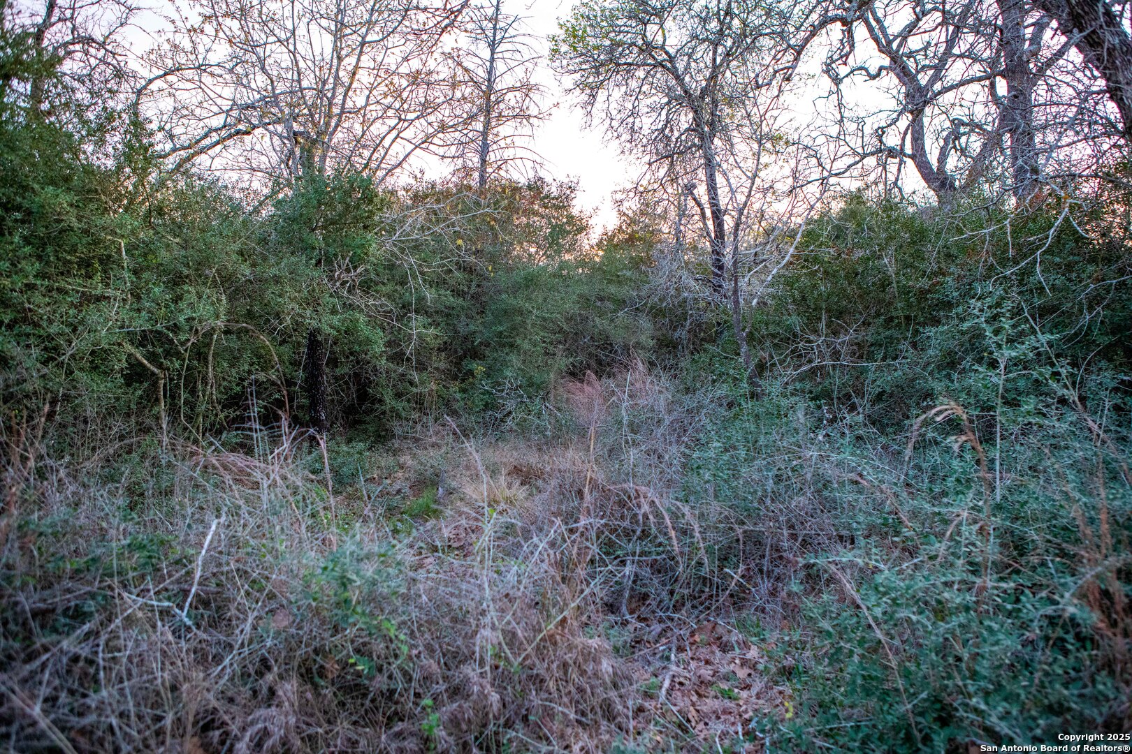 1512 Boulder Lane Harwood TX 78632