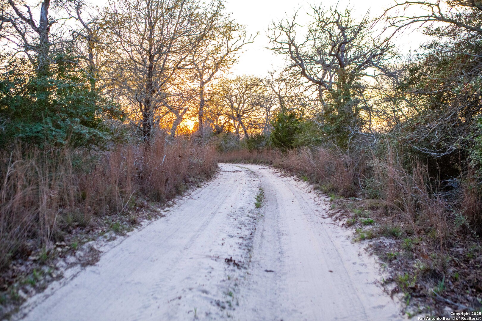 1512 Boulder Lane Harwood TX 78632