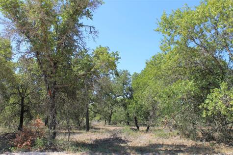 11913 W Fm 476 Somerset TX 78069
