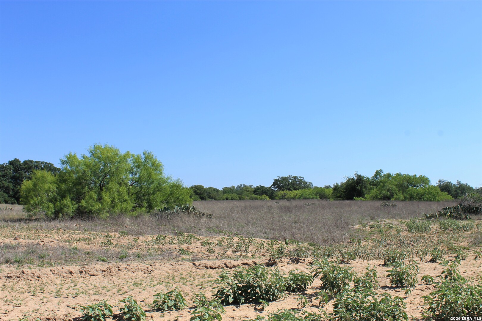 11913 W Fm 476 Somerset TX 78069