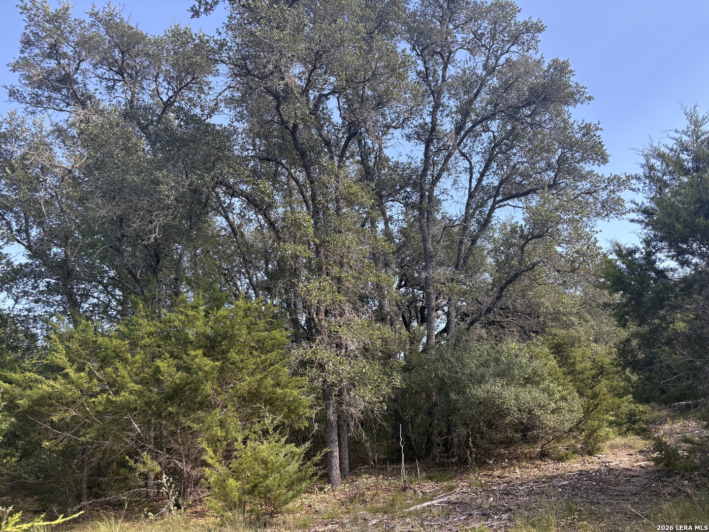 170 Lariat Trace Bandera TX 78003