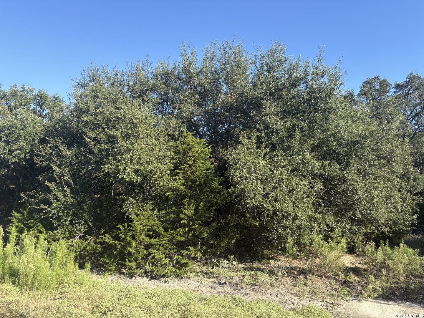 170 Lariat Trace Bandera TX 78003
